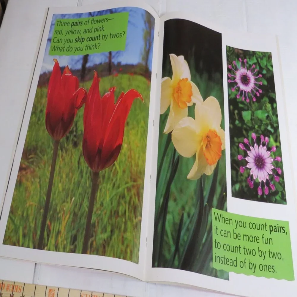 Solve It Out BIG BOOK (almost 2 feet tall) with teacher pages CLASSROOM SIZE